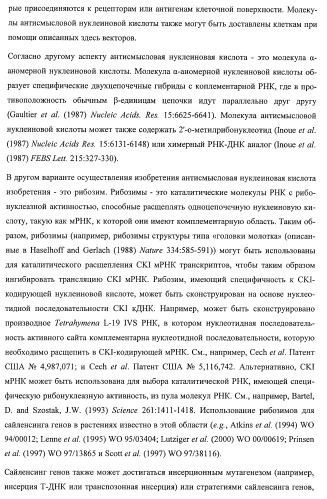 Растения, имеющие улучшенные характеристики роста, и способы их получения (патент 2463352)