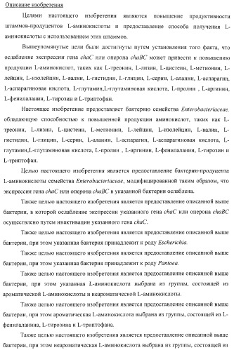 Способ получения l-треонина или l-аргинина с использованием бактерии, принадлежащей к роду escherichia, в которой инактивирован ген chac или оперон chabc (патент 2392327)