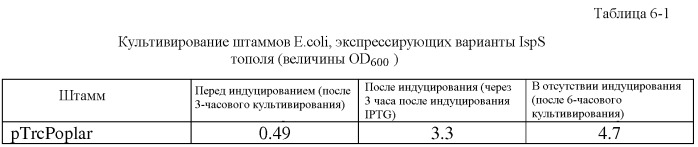 Варианты изопренсинтазы, применяемые для улучшения продуцирования изопрена микроорганизмами (патент 2516343)