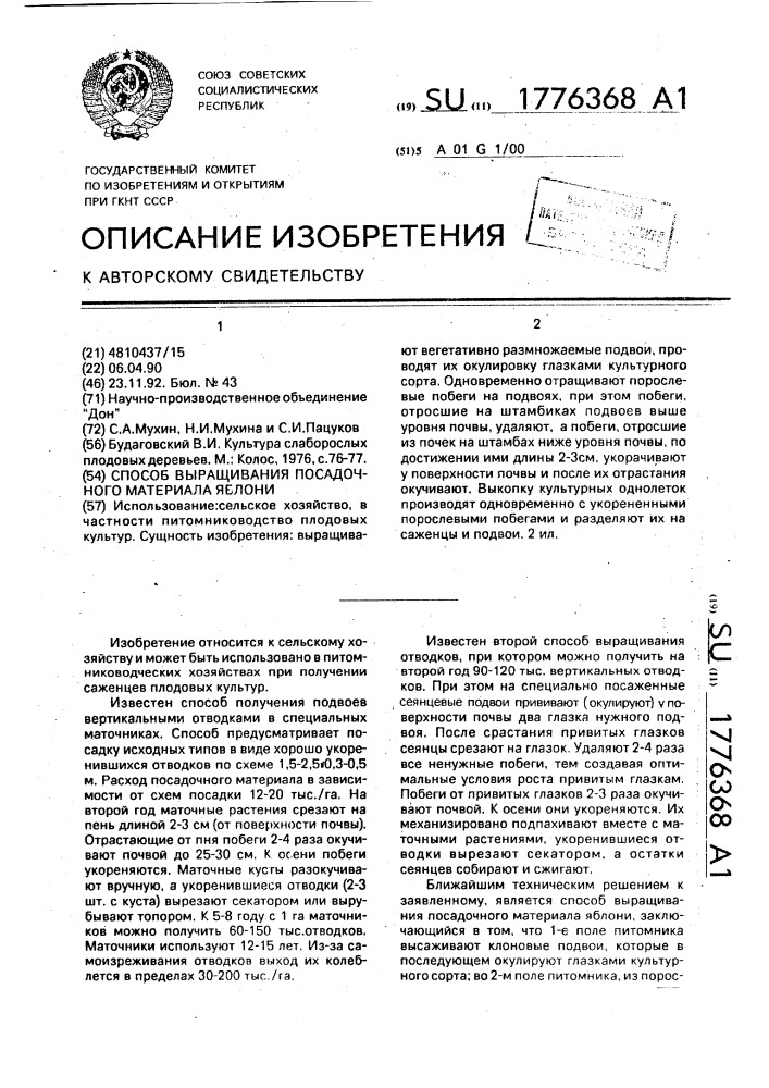 Способ выращивания посадочного материала яблони (патент 1776368)