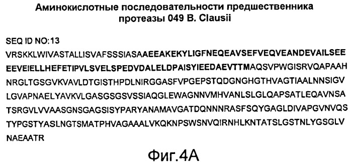 Мoдифицированные протеазы (патент 2496875)