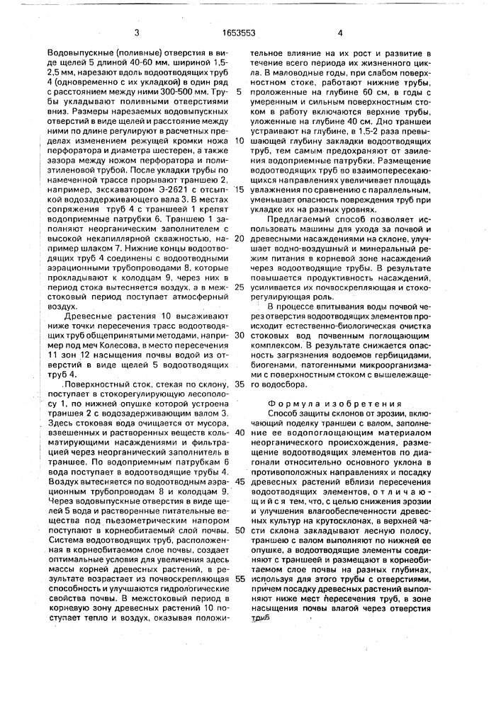 Способ защиты склонов от эрозии (патент 1653553)