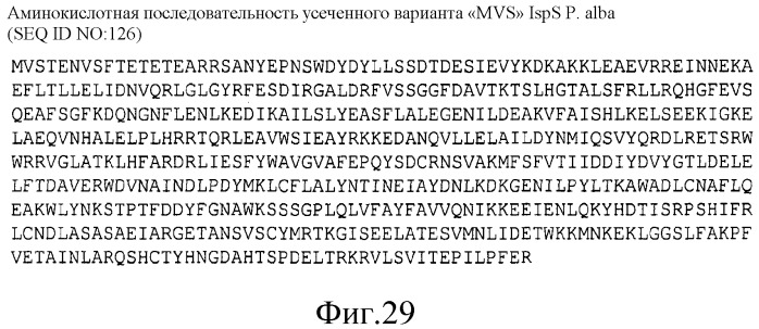 Варианты изопренсинтазы, применяемые для улучшения продуцирования изопрена микроорганизмами (патент 2516343)