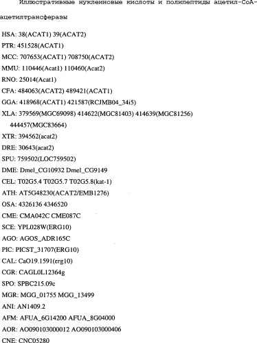 Полимеры изопрена из возобновляемых источников (патент 2505605)