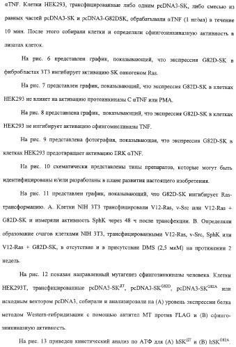 Сфингозинкиназа (варианты), нуклеиновая кислота, ее кодирующая (варианты), и их применение (патент 2326945)