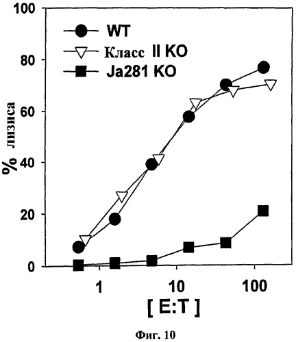 Вакцина на основе в-клеток, нагруженных лигандом т-клеток-природных киллеров и антигеном (патент 2420311)