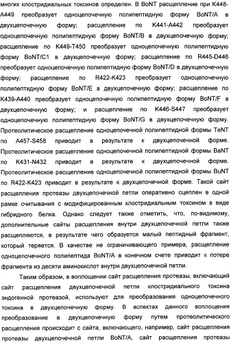 Способы лечения мочеполовых-неврологических расстройств с использованием модифицированных клостридиальных токсинов (патент 2491086)