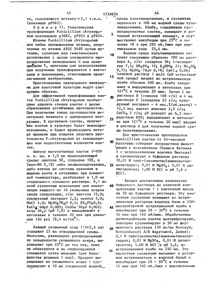 Способ конструирования рекомбинантной плазмидной днк, кодирующей фермент деацетоксицефалоспорин с синтетазу/деацетилцефалоспорин с синтетазу (патент 1739856)