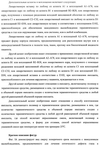 Лекарственные ядра для замедленного высвобождения терапевтических средств (патент 2478366)