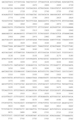 Рекомбинантная плазмида pesat6-cfp10-dbd, рекомбинантный штамм escherichia coli m15 [prep4, pesat6-cfp10-dbd], способ получения, иммобилизации, концентрирования и очистки рекомбинантного белка esat6-cfp10-dbd на декстране, рекомбинантный белок esat6-cfp10-dbd и иммуногенная композиция, содержащая белок esat6-cfp10-dbd (патент 2539026)