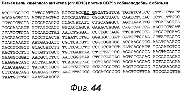 Анти-cd79b антитела и иммуноконъюгаты и способы их применения (патент 2553566)