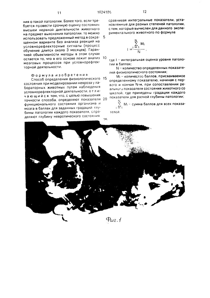Способ определения физиологического состояния при моделировании невроза у лабораторных животных (патент 1824186)
