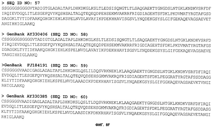 Нелипидизированные варианты антигенов neisseria meningitidis orf2086 (патент 2546873)