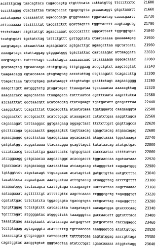 Бактериофаг, обладающий активностью против pseudomonas aeruginosa, белки бактериофага и способы их применения (патент 2580248)