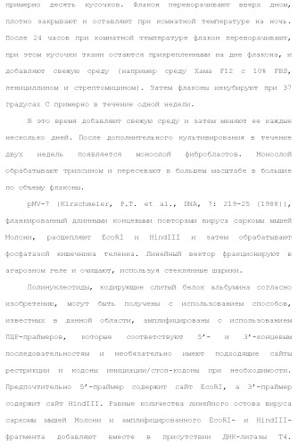 Слитые белки альбумина (патент 2369404)