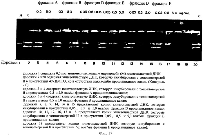 Соединение экстракта какао и способы их получения и применения (патент 2394562)