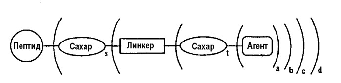 Гликопэгилированный гранулоцитарный колониестимулирующий фактор (патент 2400490)