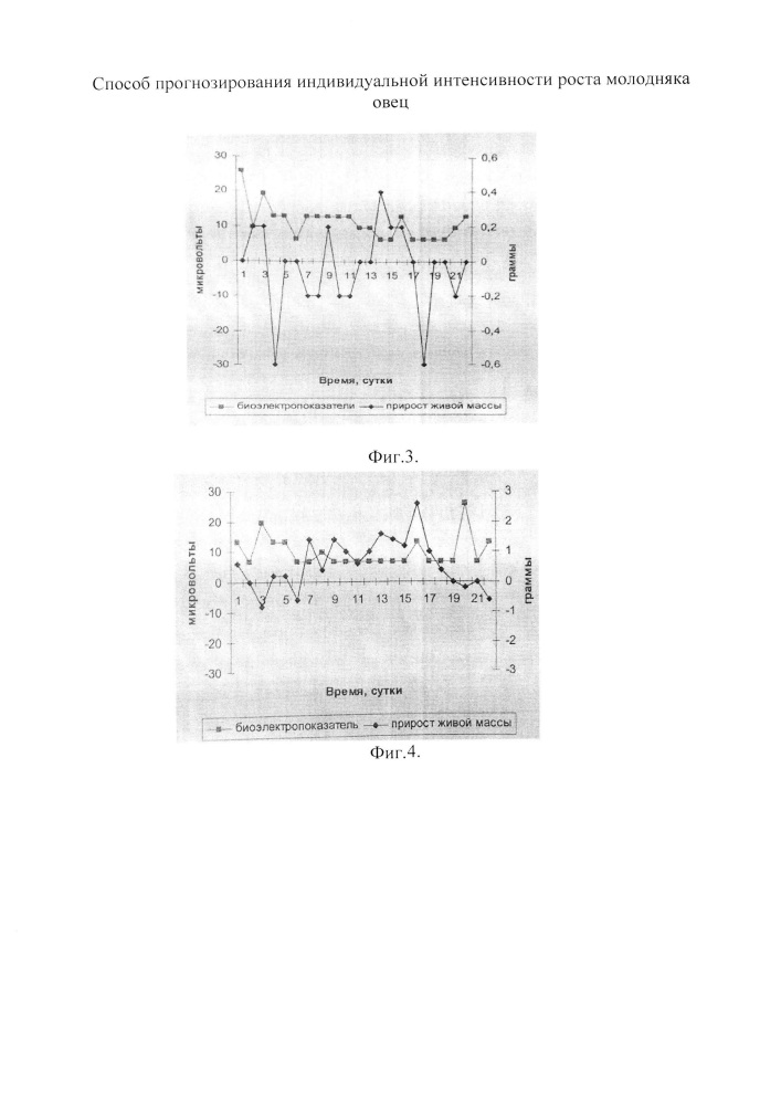 Способ прогнозирования индивидуальной интенсивности роста молодняка овец (патент 2662905)