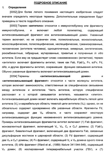 Антитела к il-22 человека и их применение (патент 2467016)