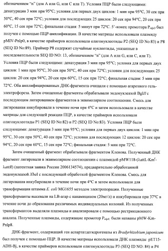 Бактерия семейства enterobacteriaceae - продуцент l-аспарагиновой кислоты или метаболитов, производных l-аспарагиновой кислоты, и способ получения l-аспарагиновой кислоты или метаблитов, производных l-аспарагиновой кислоты (патент 2472853)