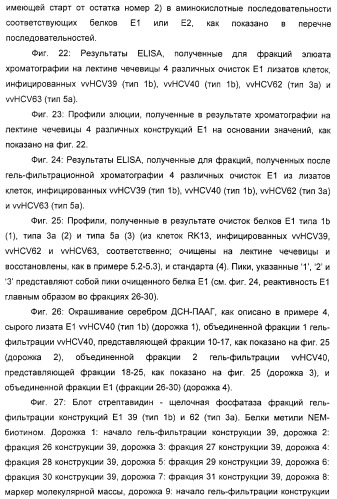 Очищенные белки оболочки вируса гепатита с для диагностического и терапевтического применения (патент 2313363)