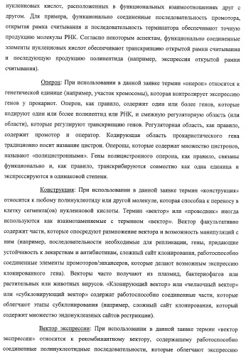 Система экспрессии компонентов ортогональной трансляции в эубактериальной клетке-хозяине (патент 2467069)