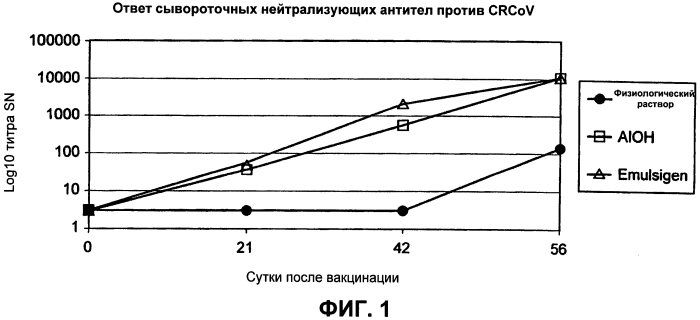 Композиции для лечения и предупреждения комплекса респираторных заболеваний собак (патент 2553222)