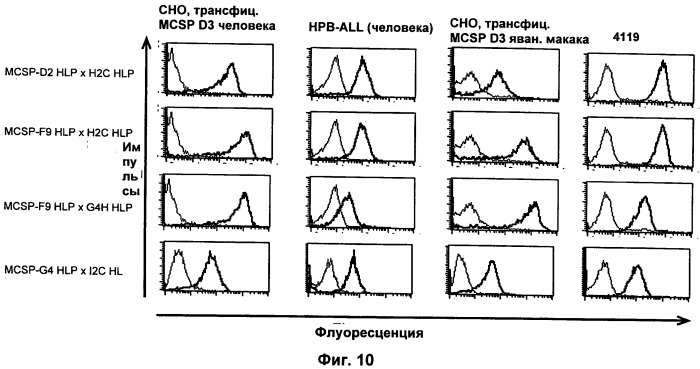 Psma×cd3 биспецифическое одноцепочечное антитело с межвидовой специфичностью (патент 2559531)