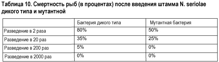 Применение бактерий, относящихся к группе нокардиоформных актиномицетов, для получения фармацевтической композиции и способ использования такой фармацевтической композиции (патент 2543663)