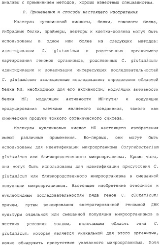 Гены corynebacterium glutamicum, кодирующие белки метаболических путей (патент 2306339)