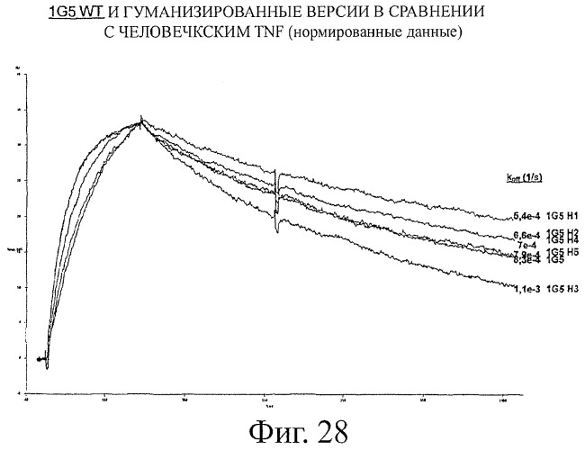 Улучшенные нанотела против фактора некроза опухоли-альфа (патент 2464276)