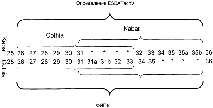 Стабильные и растворимые антитела, ингибирующие tnfα (патент 2567100)