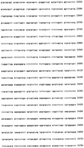 Конструирование рекомбинанта онколитического аденовируса, специфически экспрессирующего иммуномодуляторный фактор gm-csf в опухолевых клетках, и его применение (патент 2361611)