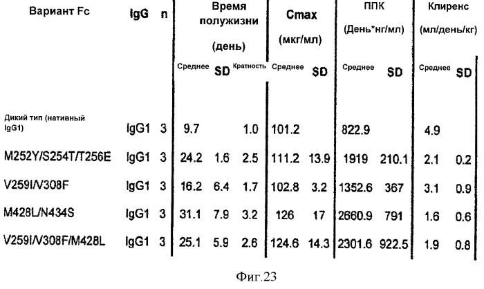 Варианты fc с измененным связыванием c fcrn (патент 2529951)