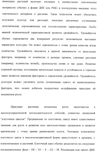 Растения с повышенной урожайностью и способ их получения (патент 2377306)