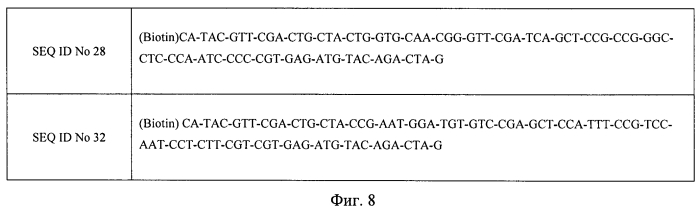 Последовательность днк, применимая в качестве зонда для обеспечения максимального соотношения "сигнал/фон" в тест-системах на основе иммуно-пцр (патент 2566550)