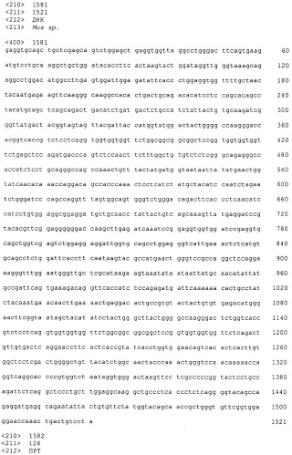 Pscaxcd3, cd19xcd3, c-metxcd3, эндосиалинxcd3, epcamxcd3, igf-1rxcd3 или fap-альфаxcd3 биспецифическое одноцепочечное антитело с межвидовой специфичностью (патент 2547600)