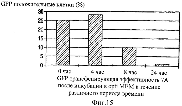 Биодеградируемые катионные полимеры (патент 2440380)