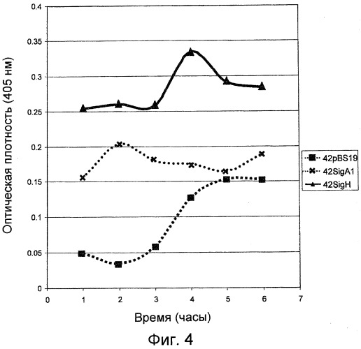 Улучшенная продукция белка в bacillus (патент 2515112)