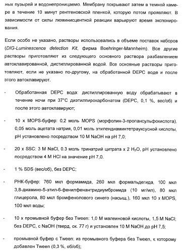 Способ повышения стойкости к стрессовым факторам в растениях (патент 2375452)