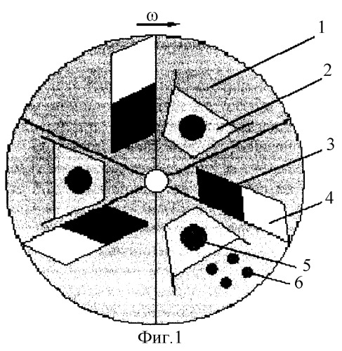 Способ и механизированное устройство для разделения молодняка птицы по полу (патент 2295857)