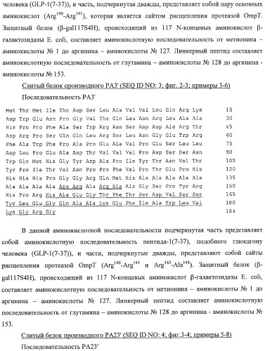 Способ расщепления полипептидов с использованием варианта протеазы оmpт (патент 2395582)