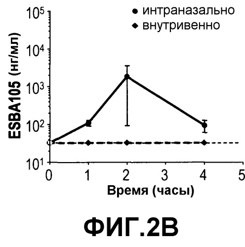 Способы и композиции для улучшенной доставки макромолекул (патент 2522245)