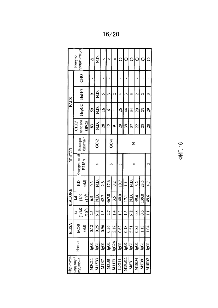 Антитело против глипикана 3 (патент 2611751)