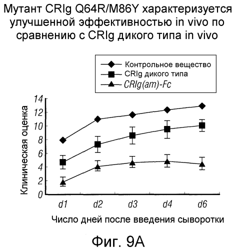 Варианты crig с созревшей аффинностью (патент 2553517)