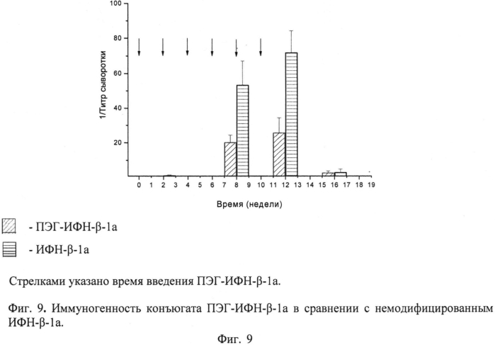 Молекула интерферона-β-1а человека, модифицированная полиэтиленгликолем, обладающая противовирусной, иммуномодулирующей и антипролиферативной активностями, с повышенной стабильностью, уменьшенной иммуногенностью, улучшенными фармакокинетическими и фармакодинамическими параметрами, пригодная для медицинского применения и иммунобиологическое средство на ее основе (патент 2576372)