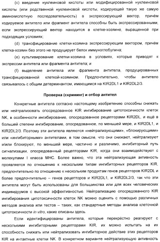 Антитела, связывающиеся с рецепторами kir2dl1,-2,-3 и не связывающиеся с рецептором kir2ds4, и их терапевтическое применение (патент 2410396)