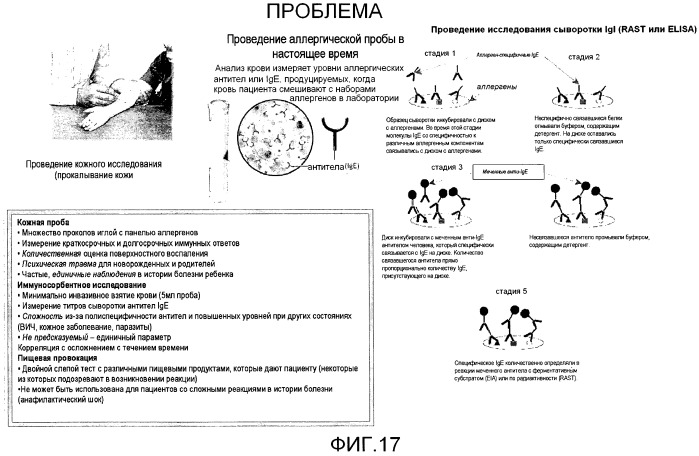 Способ диагностики аллергических реакций (патент 2536291)