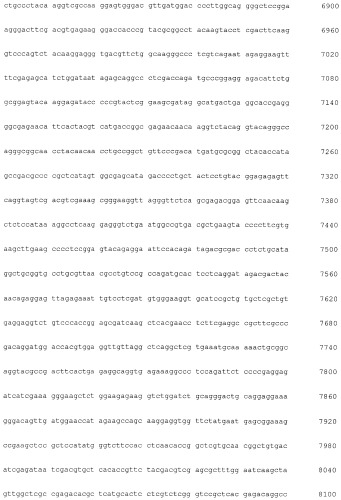 Новая гидрогеназа seq id no:5, очищенная из thermococcus onnurienus na1 с помощью моноokcида углерода, кодирующие ее гены, и способы получения водорода с использованием микроорганизма, имеющего указанные гены (патент 2460789)