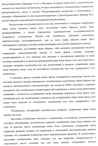 Способ получения фактора, связанного с контролем над потреблением пищи и/или массой тела, полипептид, обладающий активностью подавления потребления пищи и/или прибавления в весе, молекула нуклеиновой кислоты, кодирующая полипептид, способы и применение полипептида (патент 2418002)